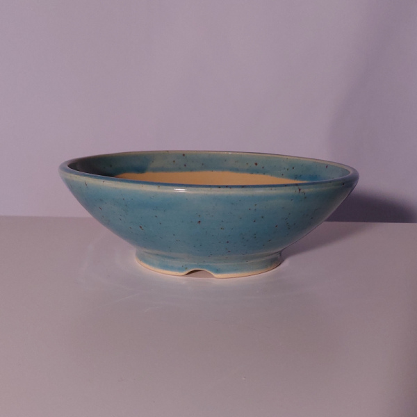 WGM-0046: Schale ca. 17x6 cm